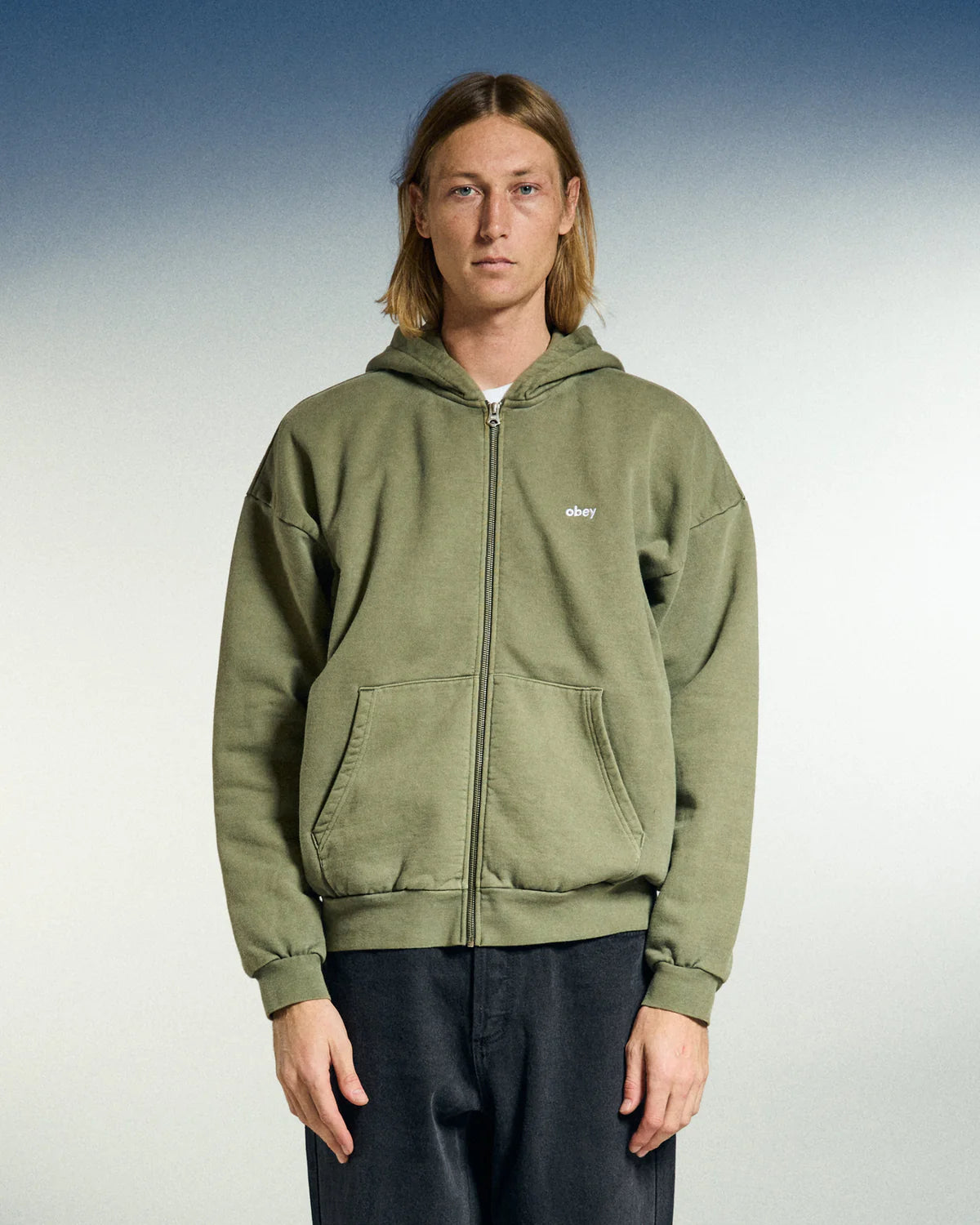 Obey Lowercase Pigment Zip Hood