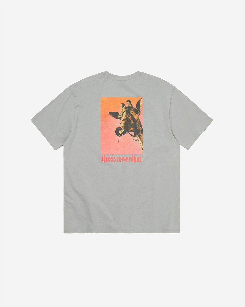TINT Giraffe Tee