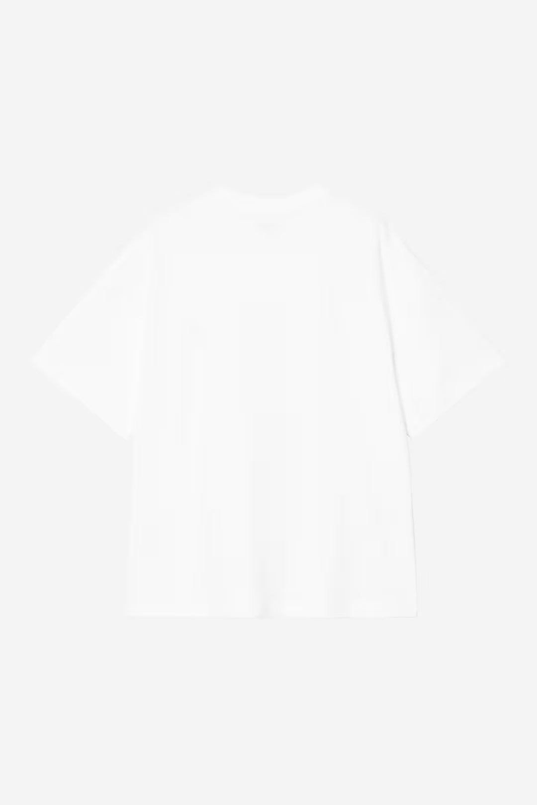 Carhartt WIP S/S Signature Script T-Shirt