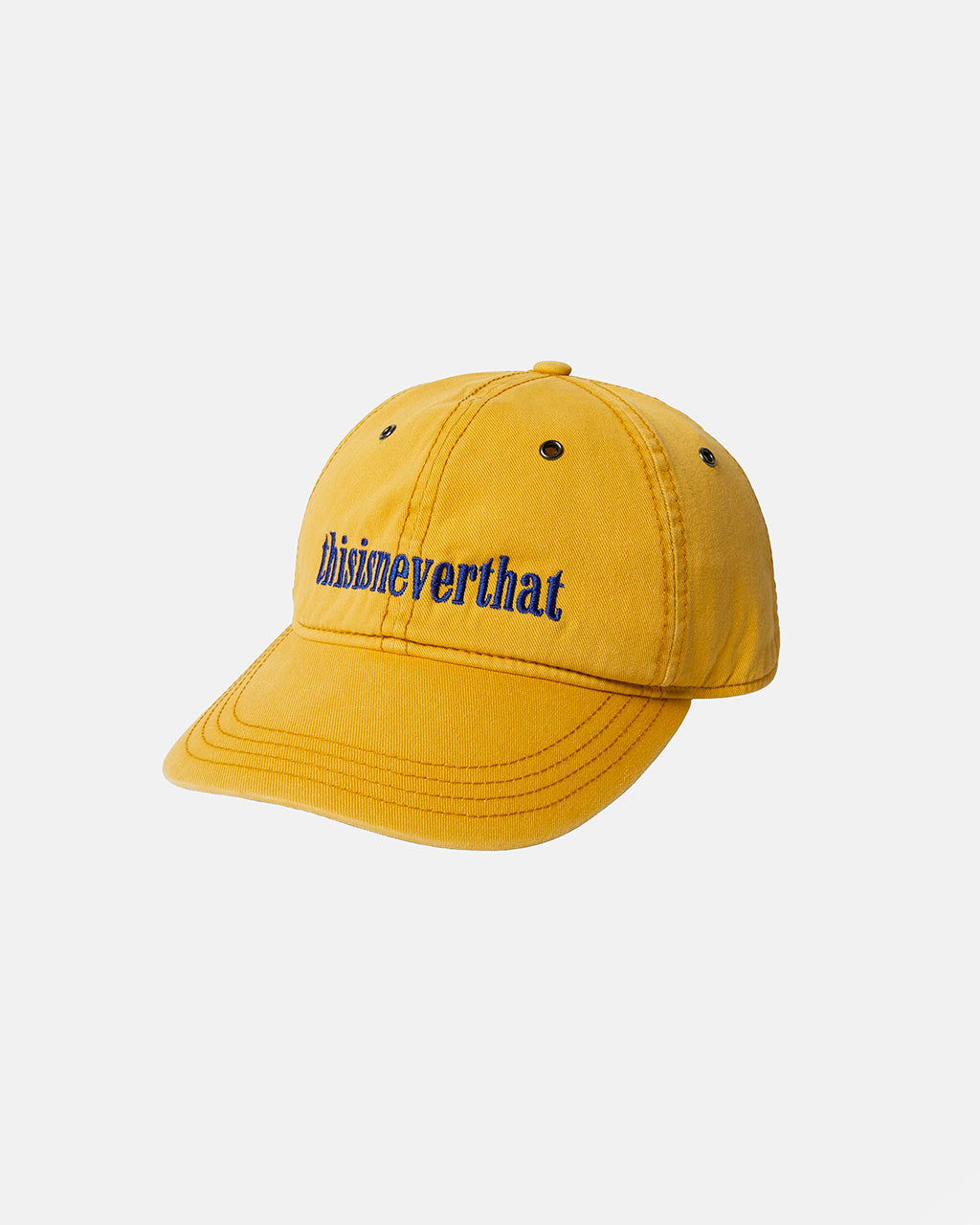 TINT Onyx Logo Cap